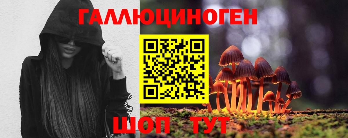 Кыштым  Галлюциногенные грибы Psilocybine cubensis  Вход с VPN 